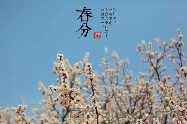 春分适逢疫情,春分到了意味着什么