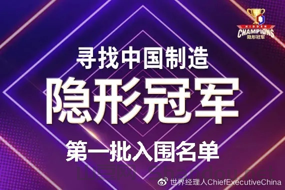 中国最顶级隐形冠军是谁，中国最顶级隐形冠军