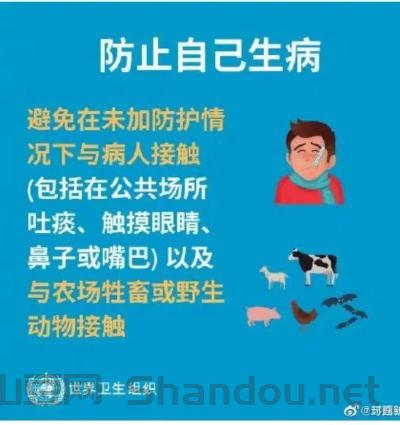 远离疾疫，如何远离疫情
