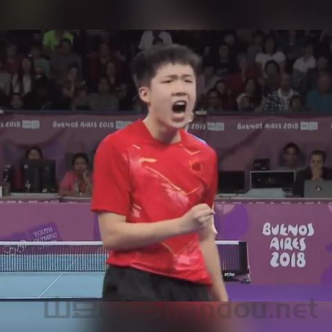 世界乒乓排名前十搭配，世界乒乓前十排名榜